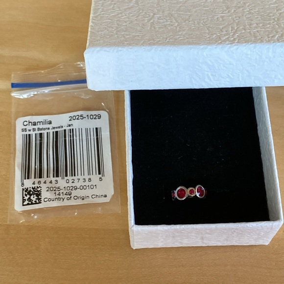 Chamilia January Birthstone Charm - Picture 7 of 8